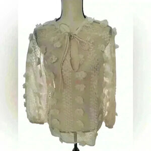 Zara Sheer Blouse NWT